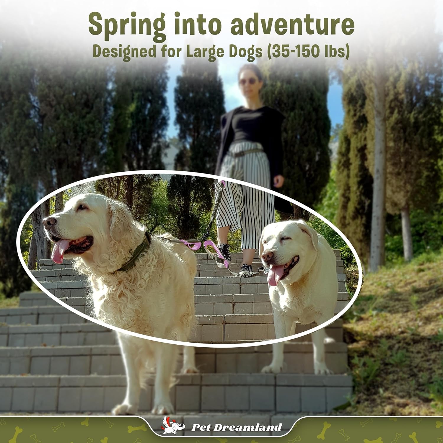 Exquisite Dual Dog Coupler for Large Dogs. Trending Double Dog Leash Attachment with Tangle-Free Swivel. You Will Absolutely Love This Amazing Gear for 2 Dogs (Dark Grey & Pink)