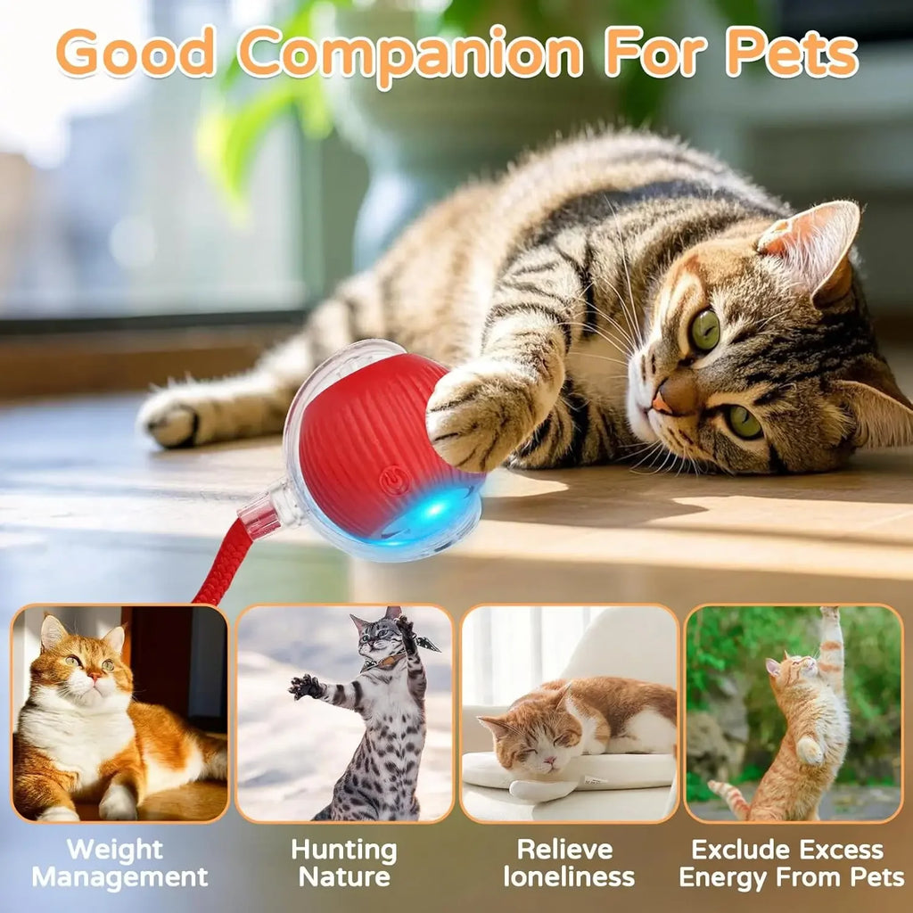 SmartTail™ - Interactive Ball for Cats