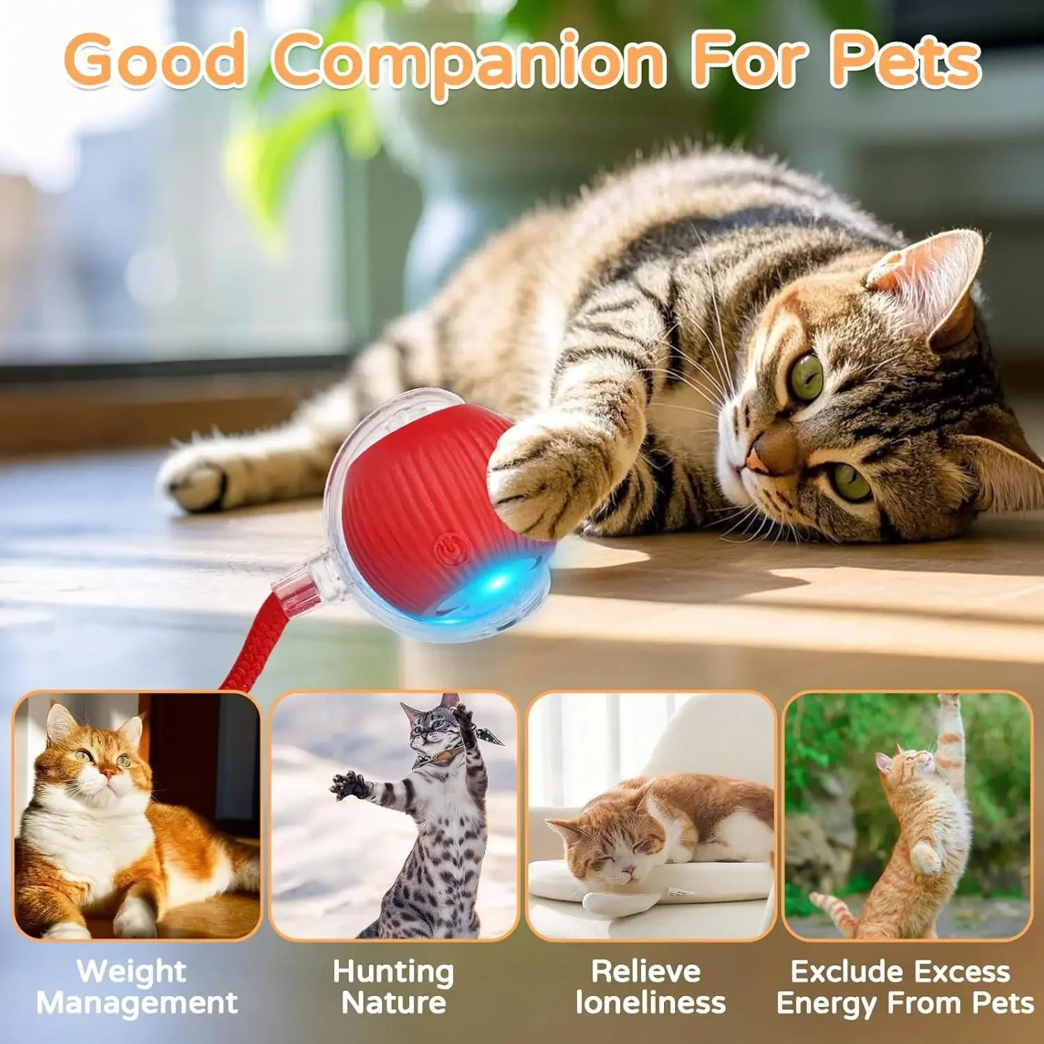 SmartTail™ - Interactive Ball for Cats