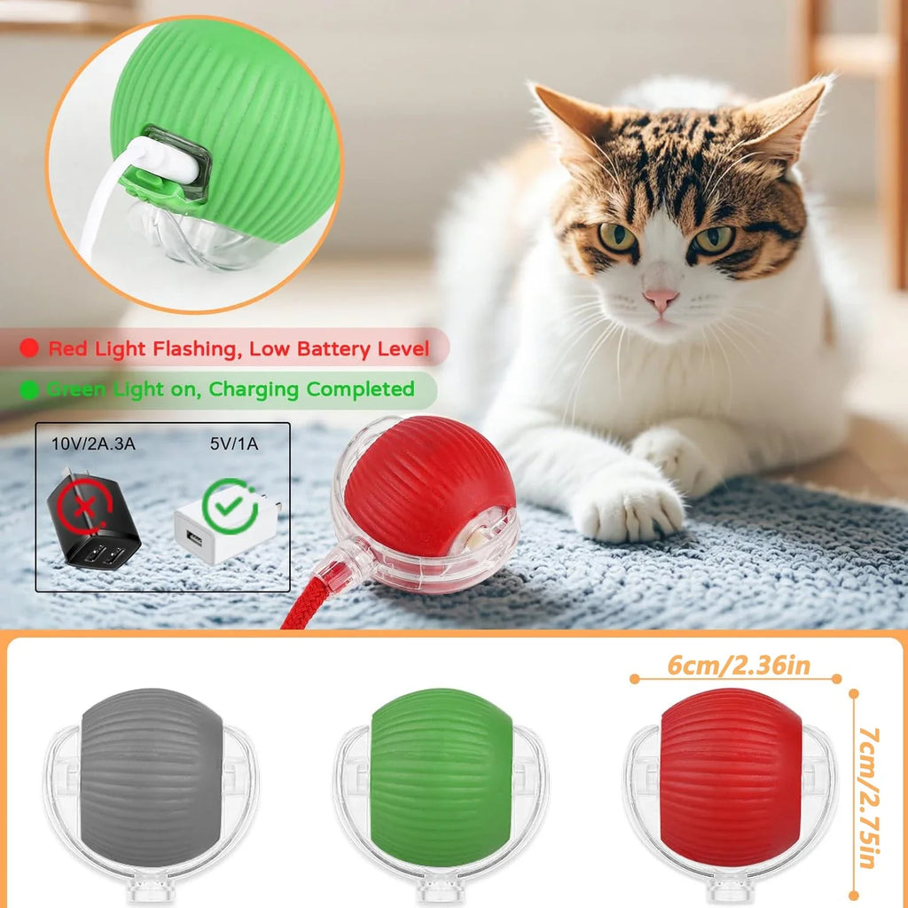 SmartTail™ - Interactive Ball for Cats