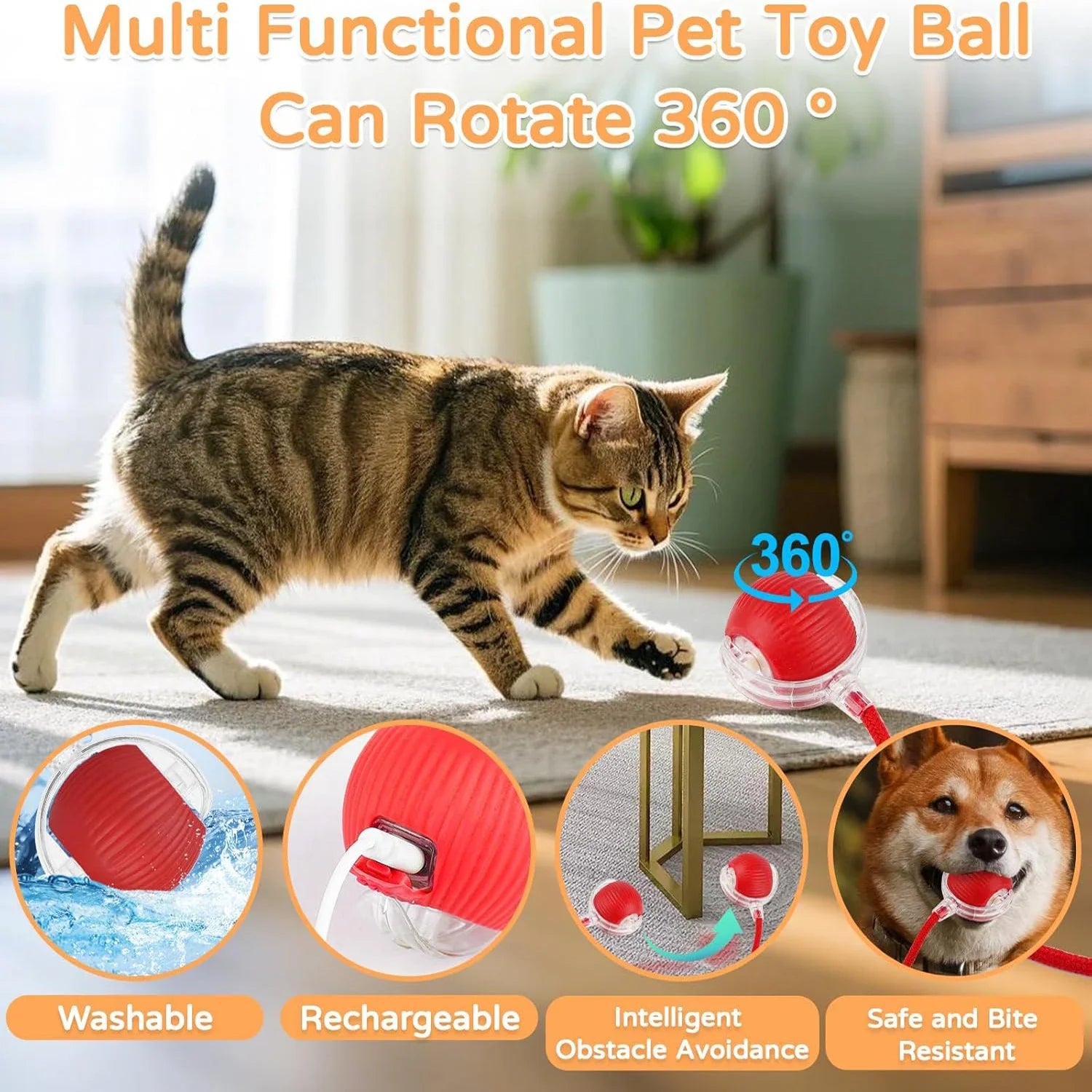 SmartTail™ - Interactive Ball for Cats