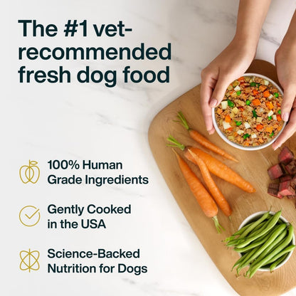 Pantry Fresh Wet Dog Food, Complete Meal or Dog Food Topper, Beef & Russet Potato Human Grade Dog Food Recipe - 12.5 Oz (Pack of 6)