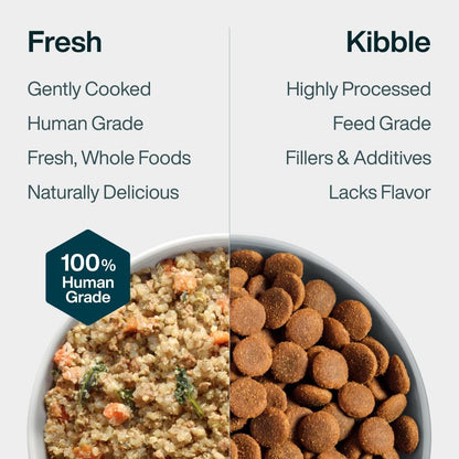 Pantry Fresh Wet Dog Food, Complete Meal or Dog Food Topper, Beef & Russet Potato Human Grade Dog Food Recipe - 12.5 Oz (Pack of 6)